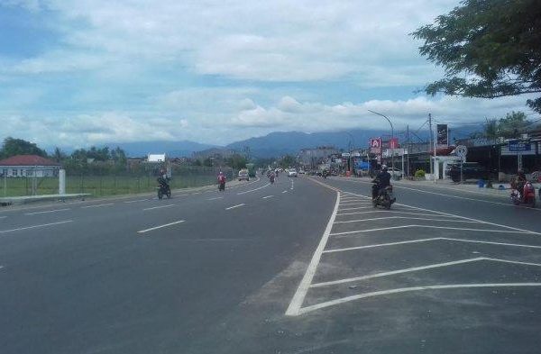 Daun penggemuk ayam di Masamba, Luwu Utara
