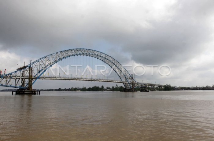 JEMBATAN BARU MUARA SABAK | ANTARA Foto Ayam layer di Muara Sabak Barat, Kabupaten Tanjung Jabung Timur