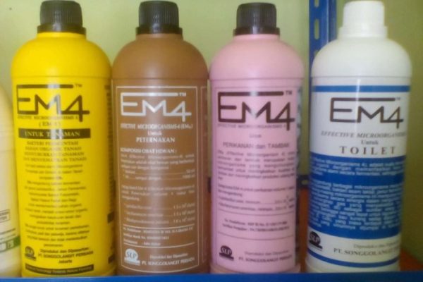 Em4 peternakan ayam di Pasir Penyu, Indragiri Hulu