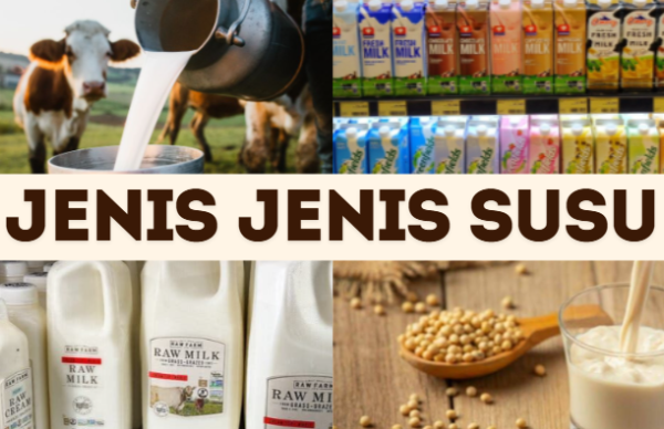 Susu kambing di Magelang Utara, Kota Magelang