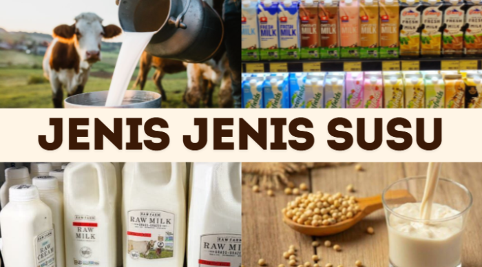 Mengenal Jenis-Jenis Susu Mulai Dari Sumber Hewan, Nabati, Proses ... Susu kambing di Ngimbang, Lamongan