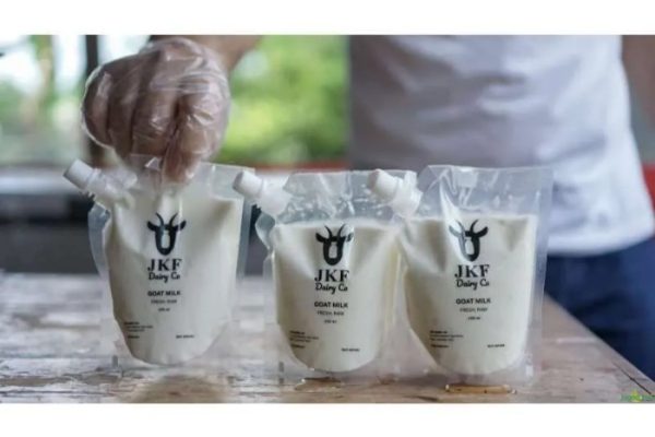 Susu kambing di Padangan, Bojonegoro