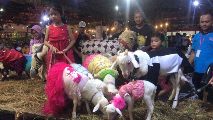 Daging kambing di Bulu, Sukoharjo