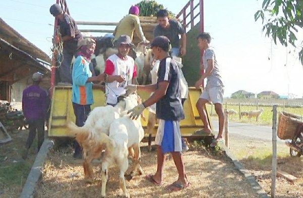 Daging kambing di Kerjo, Karanganyar