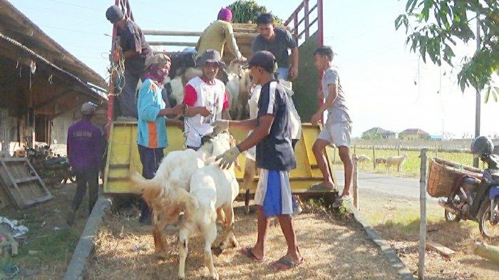 Daging kambing di Kerjo, Karanganyar