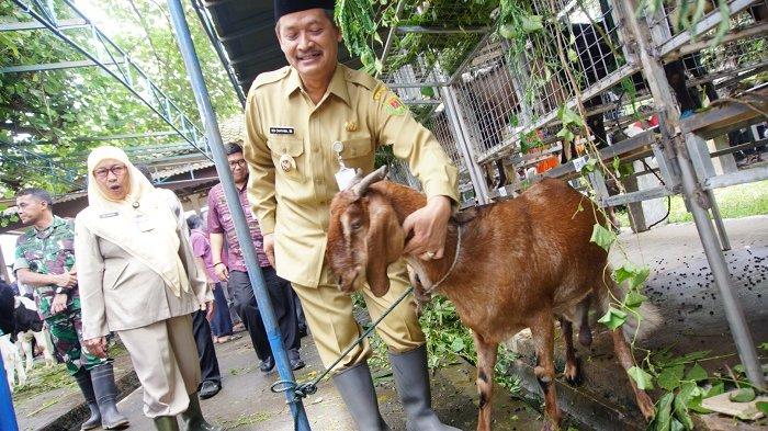 Daging kambing di Ngablak, Magelang