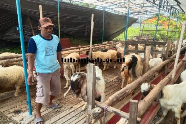 Daging kambing di Bancar, Tuban