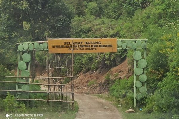 Daun penggemuk ayam di Rongkong, Luwu Utara