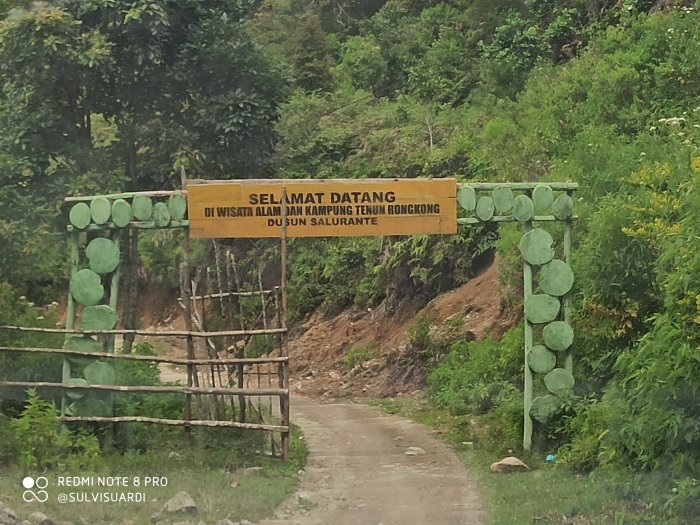 Daun penggemuk ayam di Rongkong, Luwu Utara