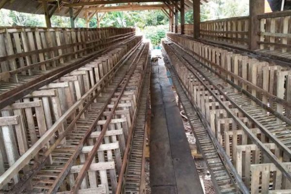 Ternak ayam petelur di Kendari Barat, Kota Kendari