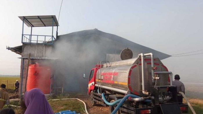 Kandang Ayam di Grobogan Terbakar: 40 Ribu Ayam Terpanggang, Kerugian ...