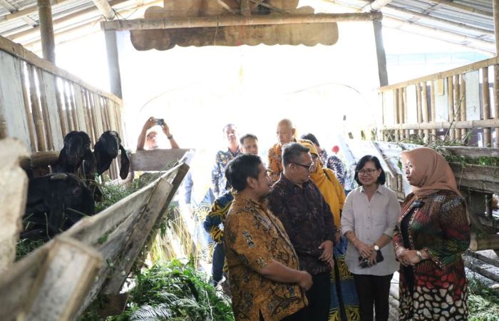 Daging kambing di Kandanghaur, Indramayu