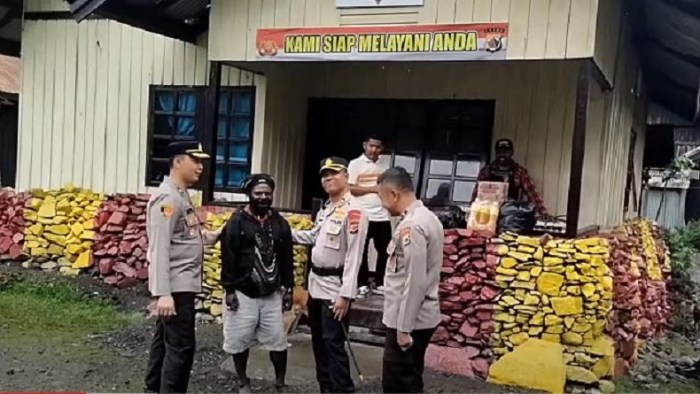 Daun penggemuk ayam di Tingginambut, Kab. Puncak Jaya