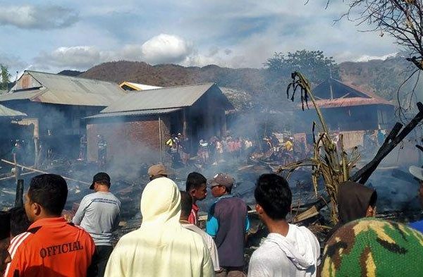 Daun penggemuk ayam di Lambu, Bima