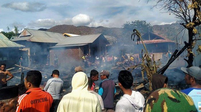 Jalan Terputus di Lambu Bima Diperbaiki dari Anggaran Darurat ... Daun penggemuk ayam di Lambu, Bima