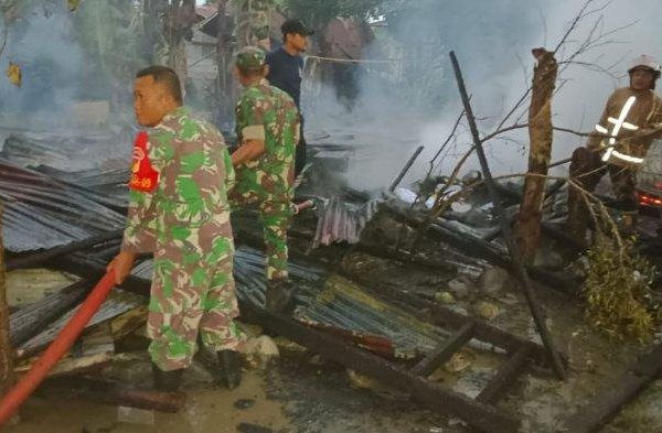 Daun penggemuk ayam di Poso Pesisir Selatan, Poso