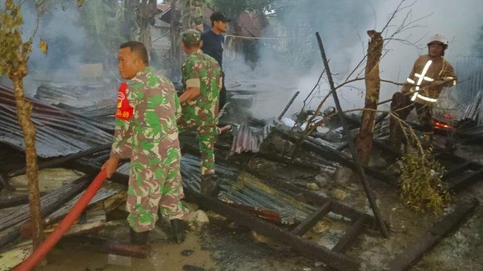 Daun penggemuk ayam di Poso Pesisir Selatan, Poso