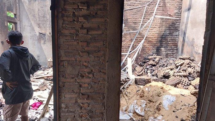 Peternakan ayam petelur lampung