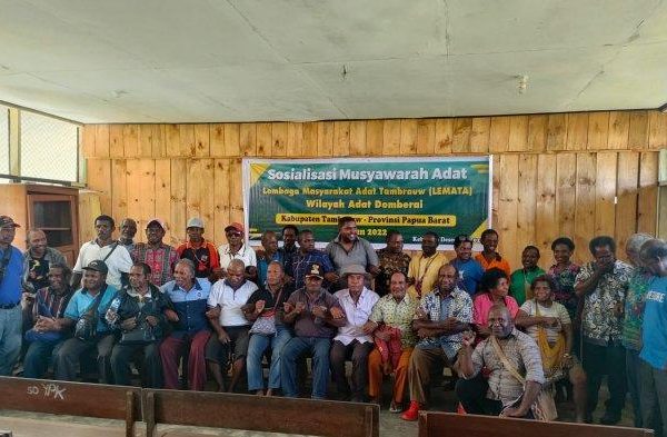 Daun penggemuk ayam di Kebar, Kab. Tambrauw