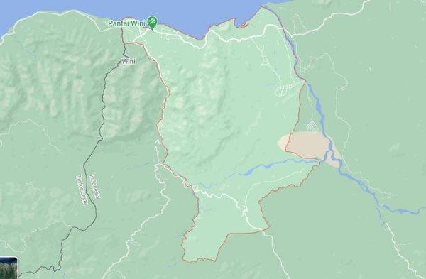 Daun penggemuk ayam di Insana Fafinesu, Timor Tengah Utara