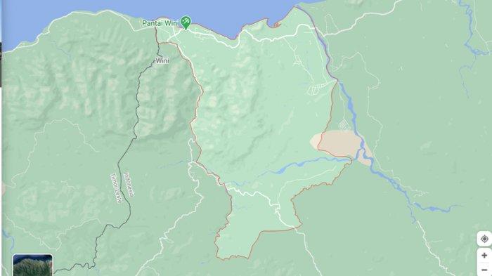 Daun penggemuk ayam di Insana Fafinesu, Timor Tengah Utara