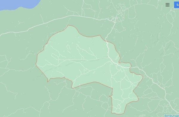 Daun penggemuk ayam di Wewewa Barat, Sumba Barat Daya