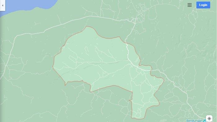 Daun penggemuk ayam di Wewewa Barat, Sumba Barat Daya