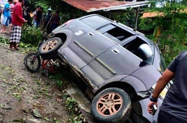 Daun penggemuk ayam di Donri Donri, Soppeng