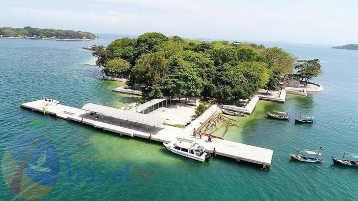 Taman Nasional Kepulauan Seribu ~ Rosemild Ayam arab di Kepulauan Seribu Utara, Kepulauan Seribu