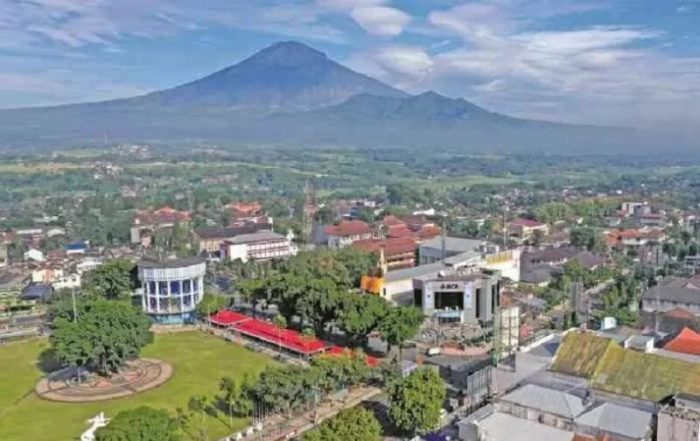 Budidaya ternak ayam di Magelang Tengah, Kota Magelang