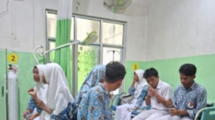 Daun penggemuk ayam di Tinangkung Utara, Banggai Kepulauan