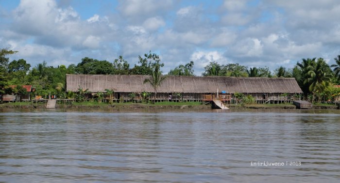 Penggemuk Ayam Mix Master Premix Broiler di Kediri Jawa Timur - Tribun ... Daun penggemuk ayam di Kolf Braza, Kab. Asmat