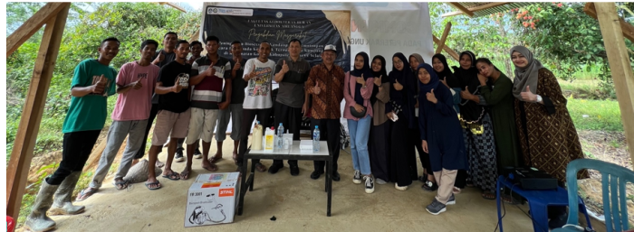 Daun penggemuk ayam di Laonti, Konawe Selatan