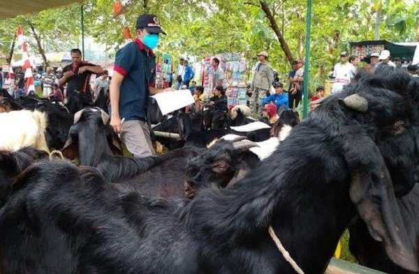 Daging kambing di Purbalingga, Kabupaten Purbalingga