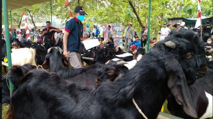 Daging kambing di Purbalingga, Kabupaten Purbalingga
