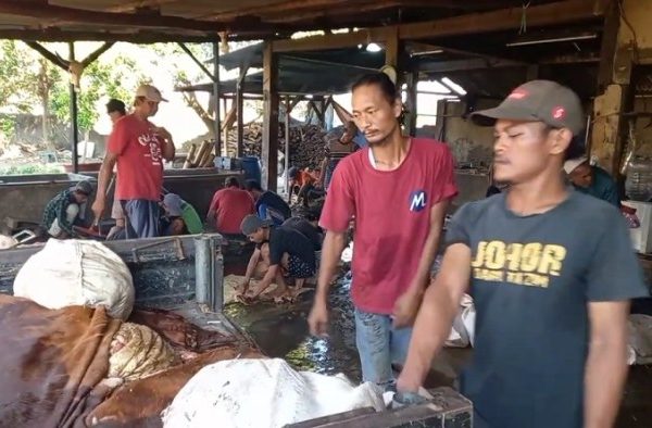 Daging kambing di Kadipaten, Majalengka