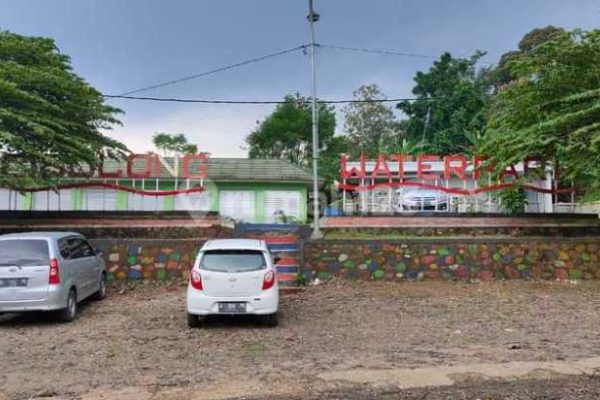 Daun penggemuk ayam di Kaduhejo, Kab. Pandeglang