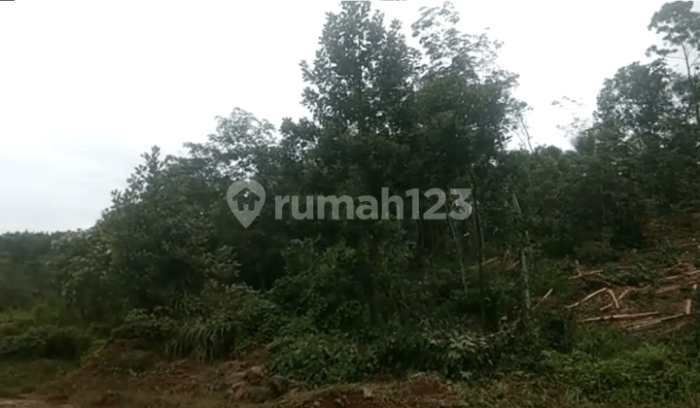 93 Rumah Warga Lebak Rusak Diamuk Puting Beliung, Bermula Awan Pekat ...