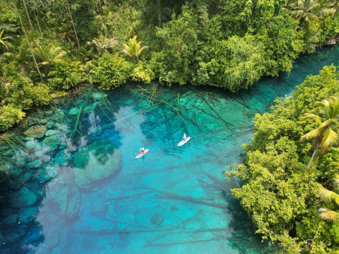 Daun penggemuk ayam di Luwuk Utara, Banggai
