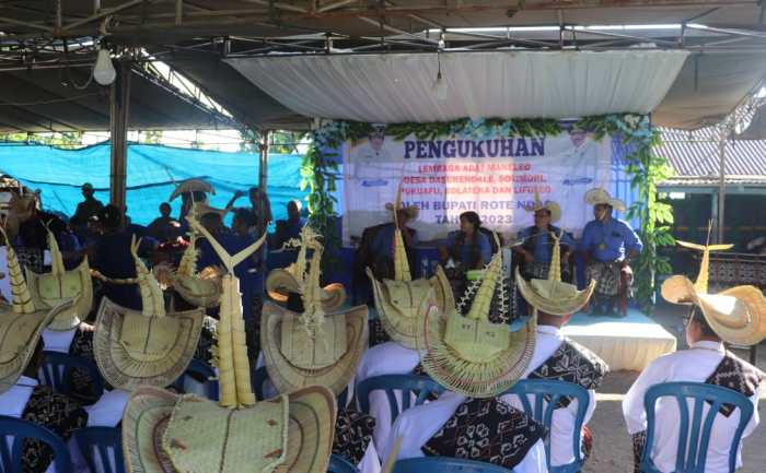 Daun penggemuk ayam di Landu Leko, Rote Ndao