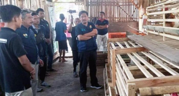 Ayam Ternak di Dampit, Malang