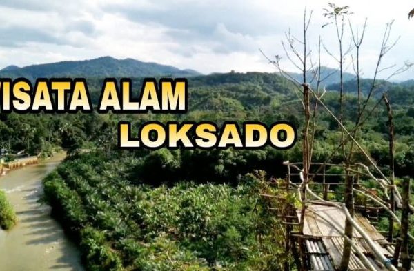 Ternak Ayam Kampung - Eksotika Desa