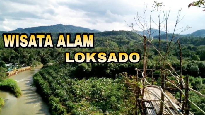 Ternak Ayam Kampung - Eksotika Desa