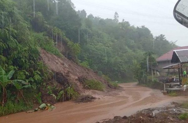 Ayam ternak di Bungus Teluk Kabung, Kota Padang