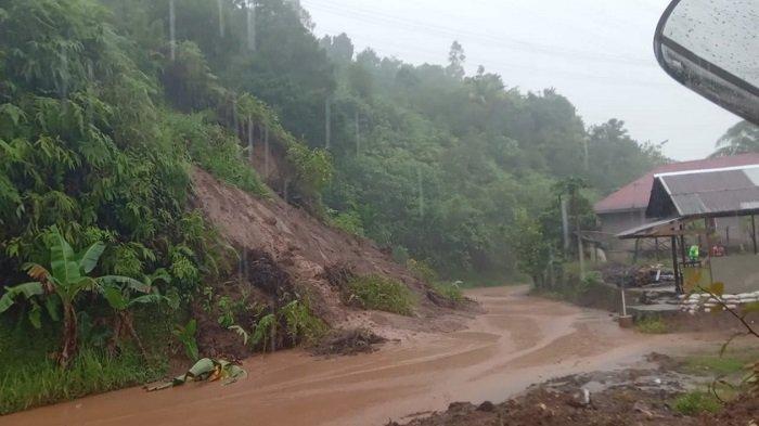 Update Banjir dan Longsor di Bungus Teluk Kabung, Camat: Paling Parah ... Ayam ternak di Bungus Teluk Kabung, Kota Padang