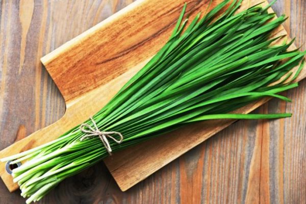 Daun penggemuk ayam di Wolio, Kota Baubau