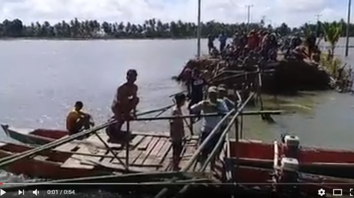 Daun penggemuk ayam di Majauleng, Wajo