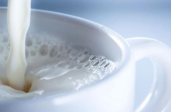 Susu kambing di Prigen, Pasuruan