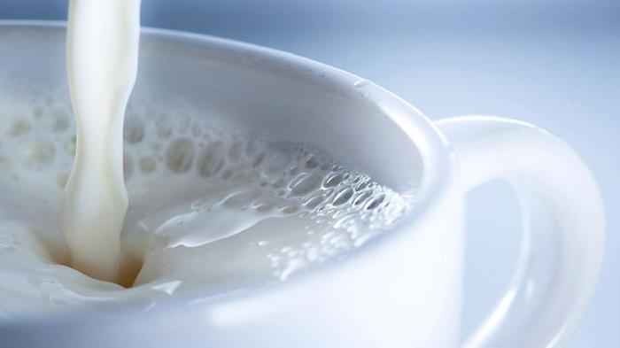 Susu kambing di Ranuyoso, Lumajang