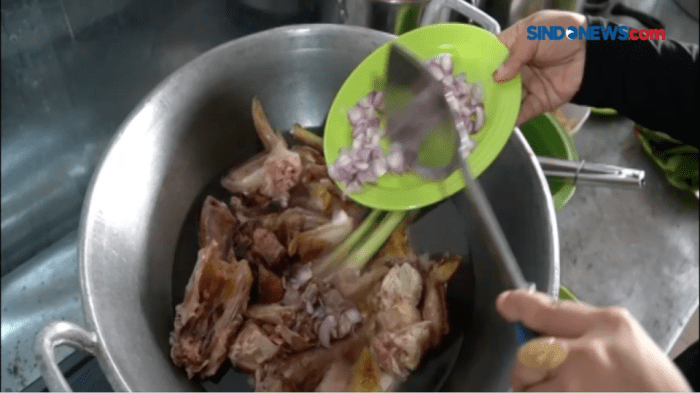 7 Cara Menggemukan Badan Ayam Bangkok yang Kurus - Beternak Ayam Daun penggemuk ayam di Mawasangka, Buton Tengah